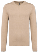 Heren Pullover V-Hals