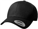 Curved Classic Snapback