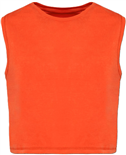 Ecologisch Cropped T-Shirt