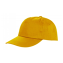 HOUSTON 5-panel Printers Cap
<br />Result