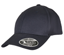 110 Organic Cap - FLEXFIT