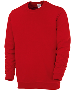SweatShirt unisex
<br />BP-1623.193 - kleuren
