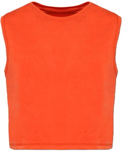 Ecologisch Cropped T-Shirt