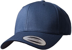Curved Classic Snapback