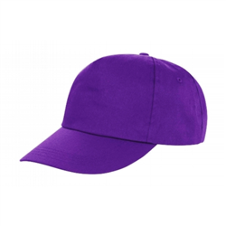HOUSTON 5-panel Printers Cap
<br />Result