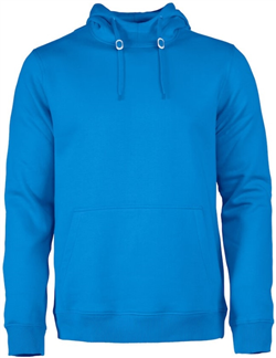 Heren Hoody Fastpitch RSX