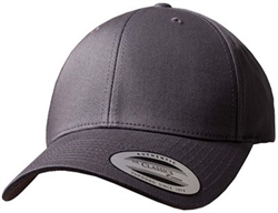 Curved Classic Snapback