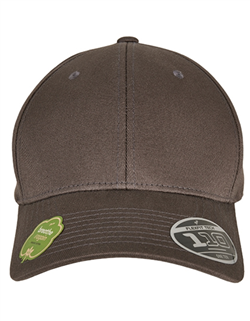 110 Organic Cap - FLEXFIT